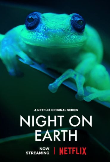 A Terra à Noite